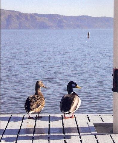 The Mallard House Inn Lakeport Fasilitas foto